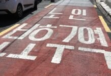 보행교통사고 10명 중 6명이 노인…보행자우선도로 해결책?